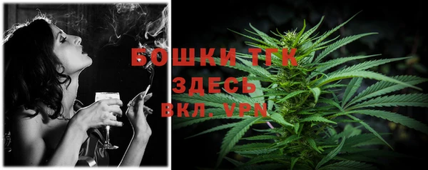 дмт Каменногорск