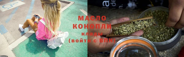 дмт Каменногорск