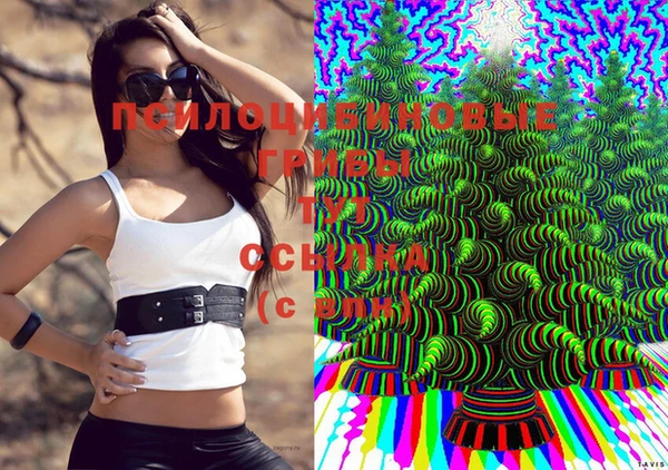дмт Каменногорск