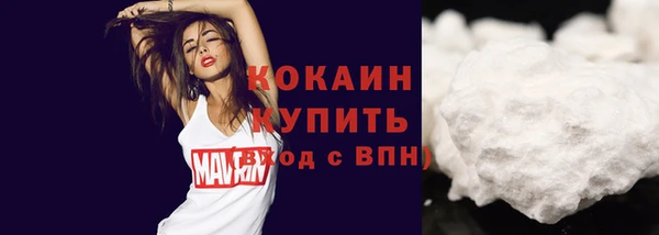 дмт Каменногорск