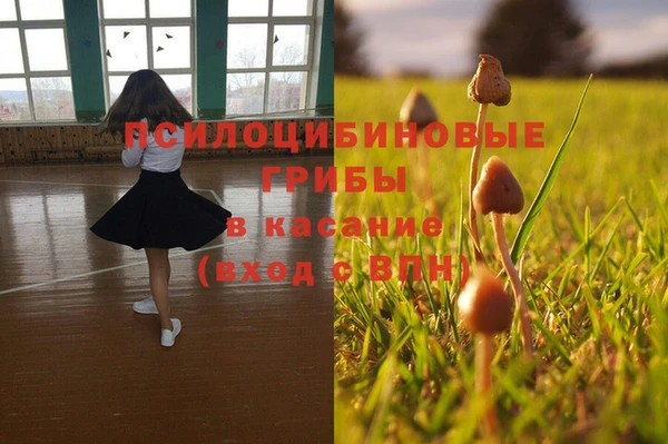 дмт Каменногорск