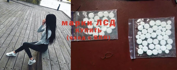 дмт Карпинск