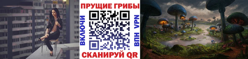 Галлюциногенные грибы прущие грибы Южно-Сахалинск